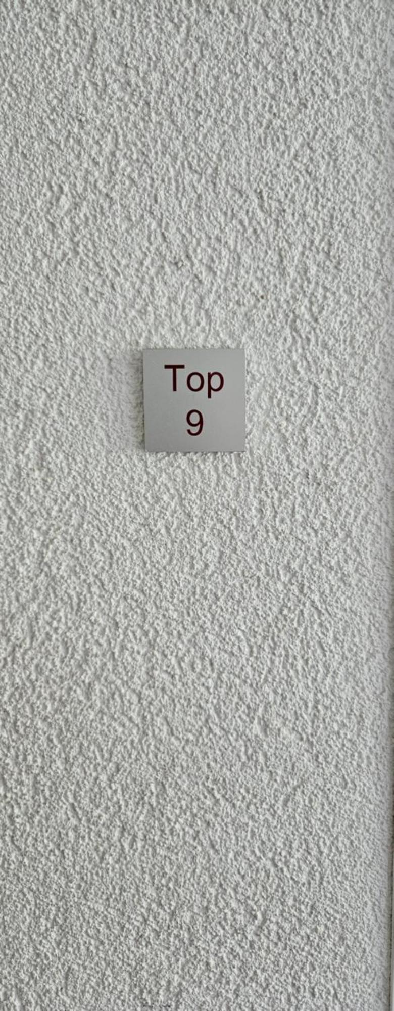 Damuelser Horn Chambre photo